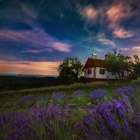 Lavanda Carasova Crasova Ngoại thất bức ảnh