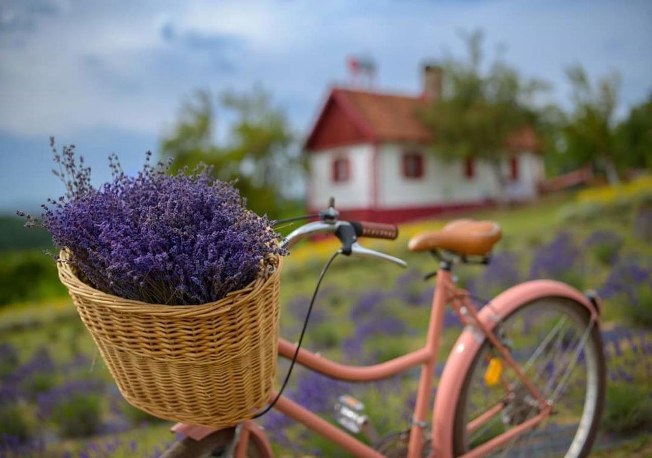 Lavanda Carasova Crasova Ngoại thất bức ảnh