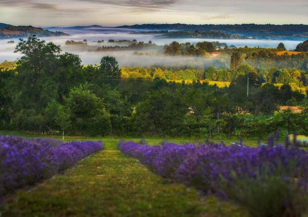 Lavanda Carasova Crasova Ngoại thất bức ảnh